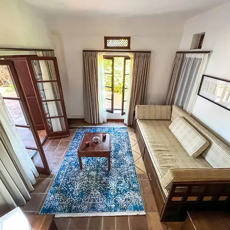 Leroy Party&event By Holidaykeys *